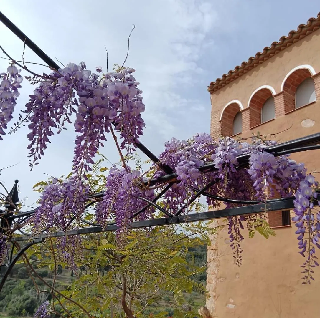 Cami Roma Hotel Albiol